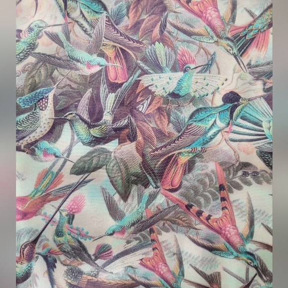 Gsus Industries Sheer Hummingbird Print Bomber, VGUC, Size S - Picture 7 of 9